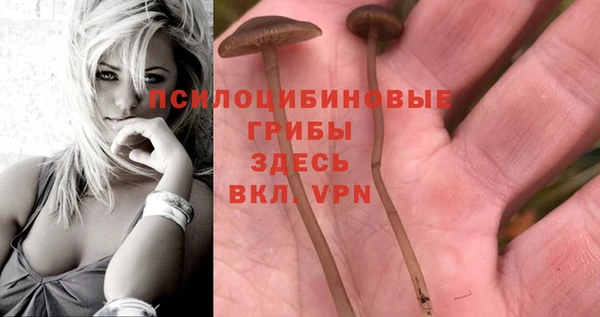 индика Карталы
