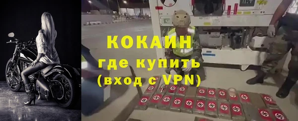 индика Карталы
