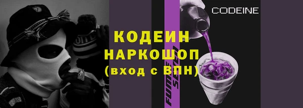 крисы Каменногорск