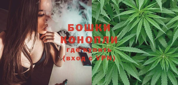 крисы Каменногорск