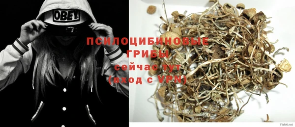 крисы Каменногорск